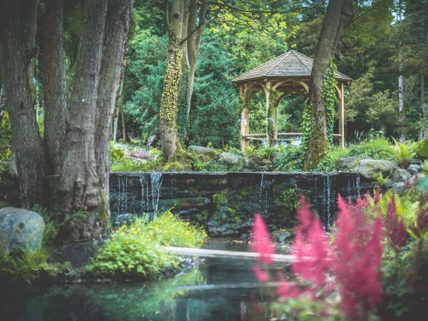 Sustainable Wedding Trends