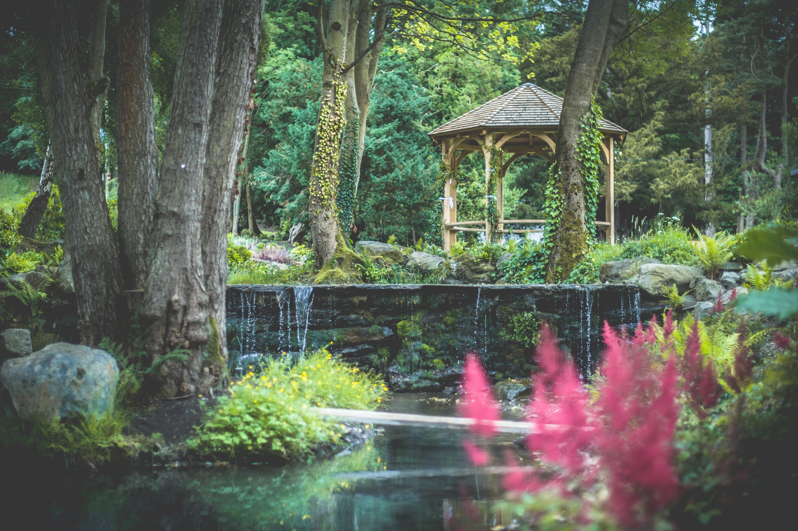 Sustainable Wedding Trends